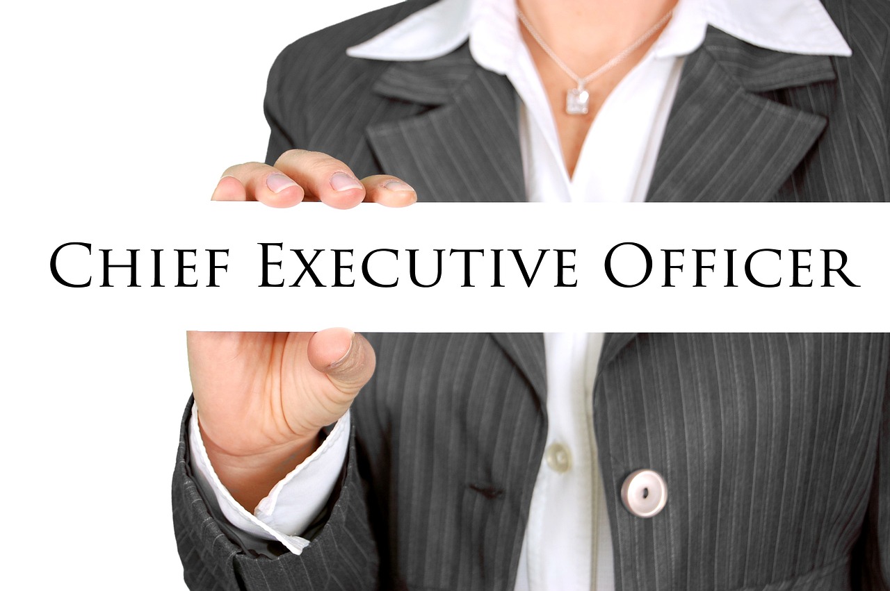 Transitioning from CFO to CEO: Essential Skills for Success